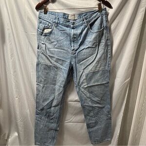 Everlane Women’s 31 Regular 90’s Cheeky Blue Jeans